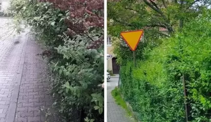 Czytelnik: To nie tak, że zawsze tylko widzimy to co złe