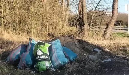 Czytelnik: Nie wiem czy to lenistwo... chamstwo... zemsta...