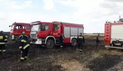 W Ujeździe Dolnym spaliło się kilka hektarów upraw