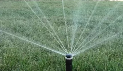 Systemy nawadniające - sposób dla leniwych ogrodników