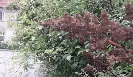 Mieszkaniec: Należy zauważyć ten problem!