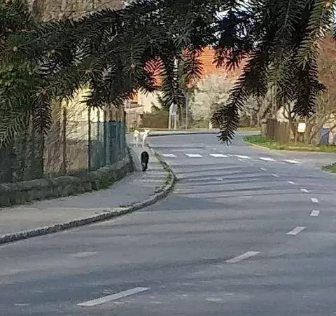 175947570 816610278963842 5809755314979668567 n