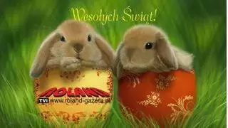 wielkanoc TVi
