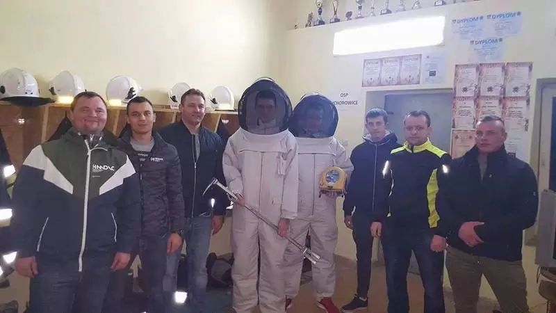 23193059 1475996025848236 704033073 n