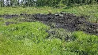 osp miekinia pozar lasu 0