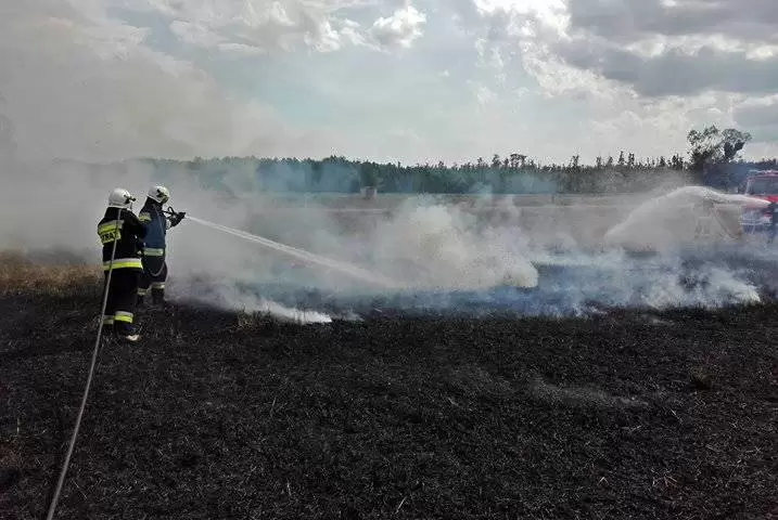 20545229 1108225942654511 2507378610667784456 o