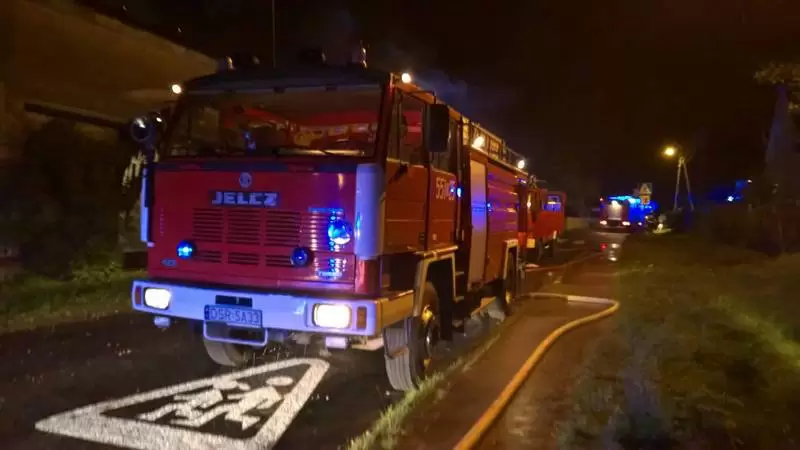 20626301 1528692810526707 3403735639599845575 o