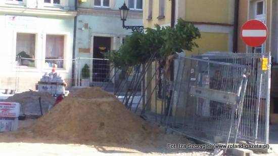 7 21169102 1419124378136005 1867821677 o