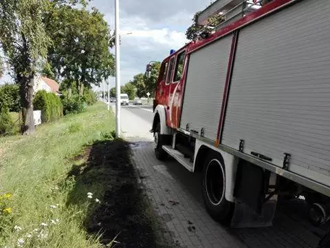 13886474 868739713269803 2034053375634816610 n