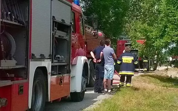 13340121 713347622137902 2645346825818384508 o