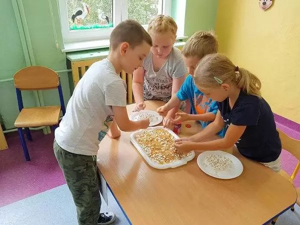 konkurs w przedszkolu 008