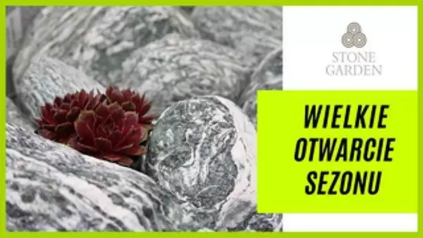 29665266 1467760273332335 3189502216218966765 o