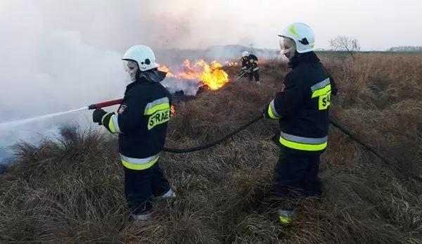 28467919 828096287374833 2257738765345491334 n