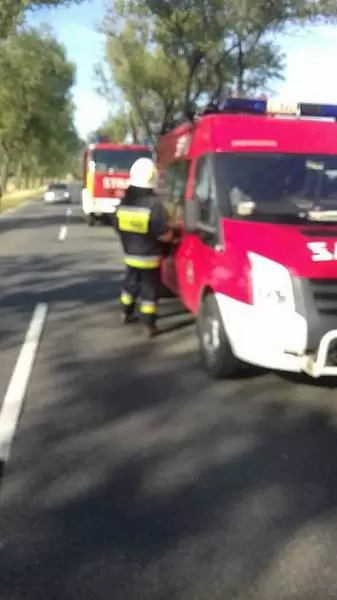 37219218 909764239208037 9173741529380945920 n