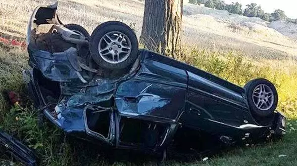 37230613 909764379208023 9112921395150454784 n