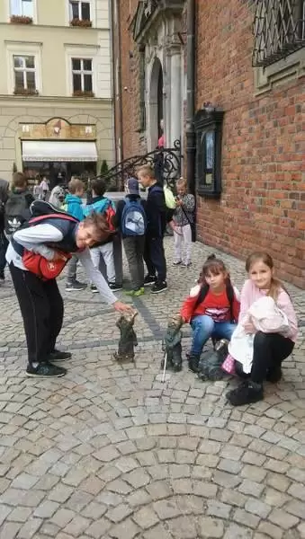 malczyce kolonia 013