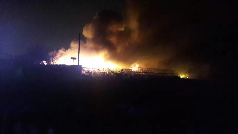 28500151 955416641294333 1415721084 o