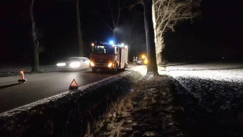 27500800 811848475666281 3436085053922062546 o