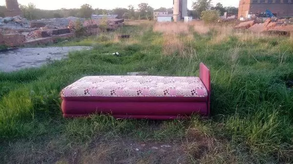 31444727 1749299478484186 2118156490316447744 n