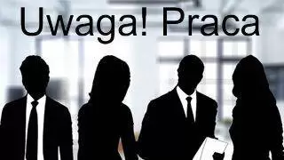 praca oferta 0