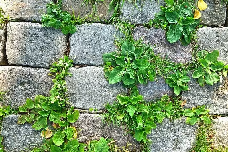 stone 2832775 960 720