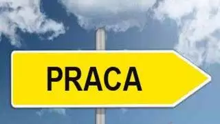 oferta pracy