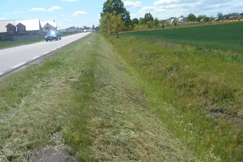 porzadki przy drogach gminnych 2