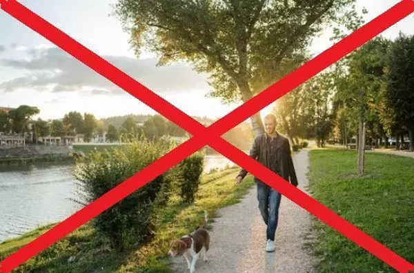 424585634 712310531042367 3699844381175798381 n