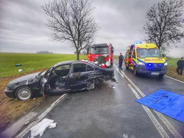 426649086 337292759284492 3508965776398597862 n