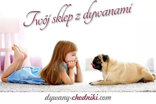 twoj sklep z dywanami dywany chodniki com dziewczynka pies