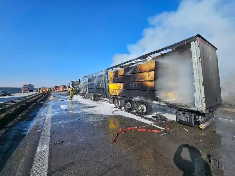 480366299 945634314364651 299963166578028758 n