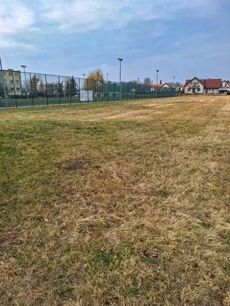 480926833 1082402390593528 8076204591897998466 n