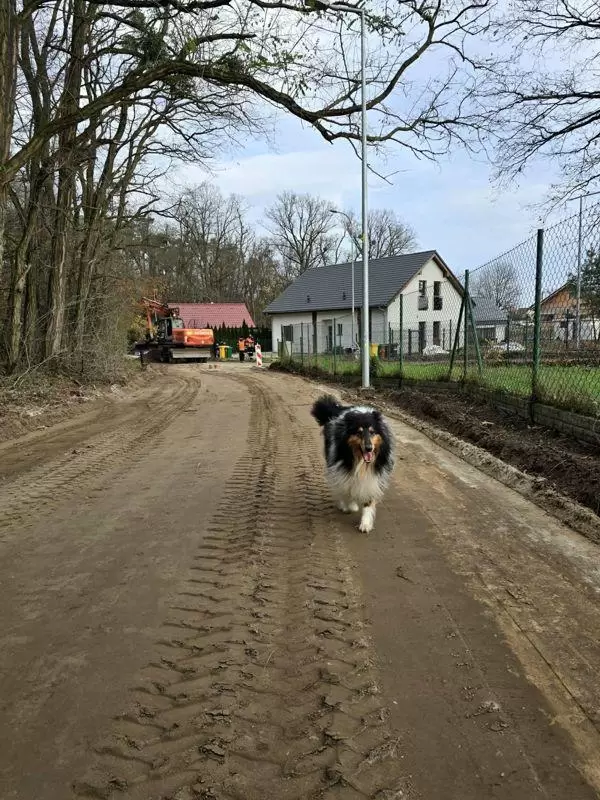 droga w slupie coraz 3