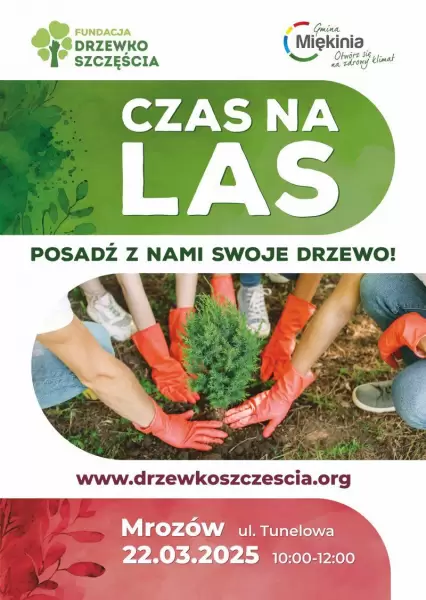 plakat a3 czas na las internet