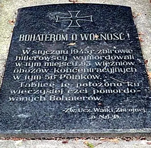 pomnik bohaterom o wolnosc ul malczycka sroda slaska 6525570