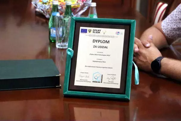 358556455 673335834833521 2978106922426727867 n