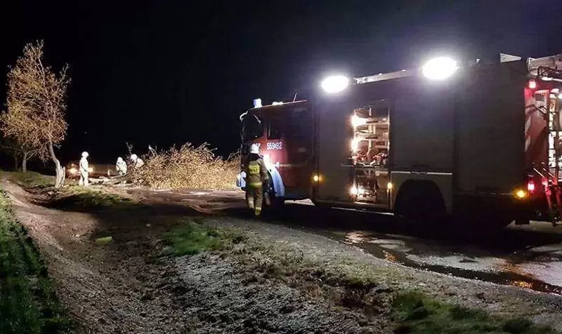 48243209 1016738578510602 5502954181171871744 n