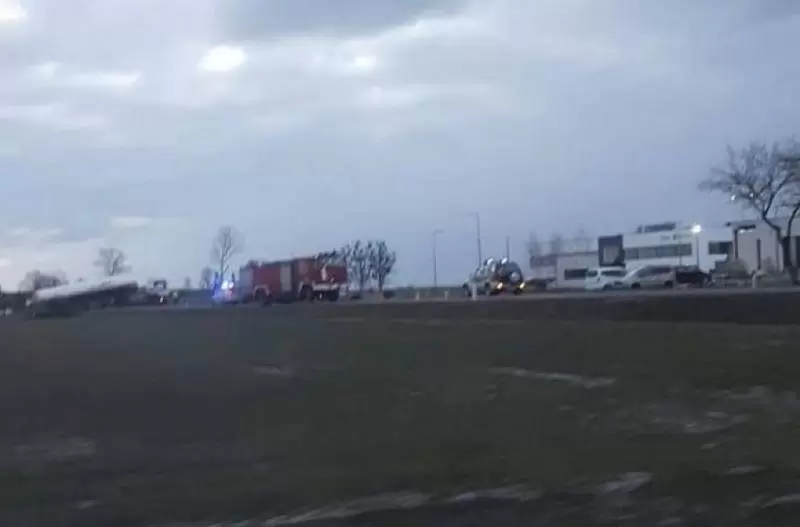 f9d4a4628cee4336658c5b5a1c00ddd1 XL