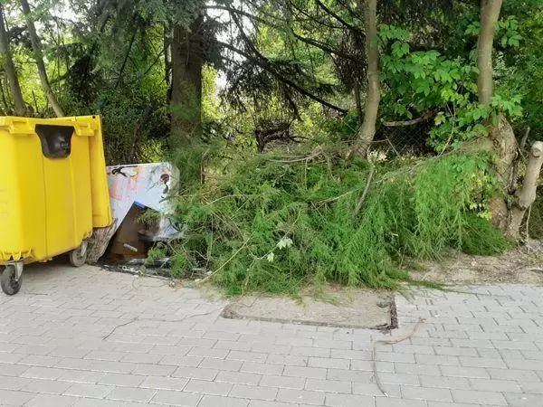 p smieciowy image005