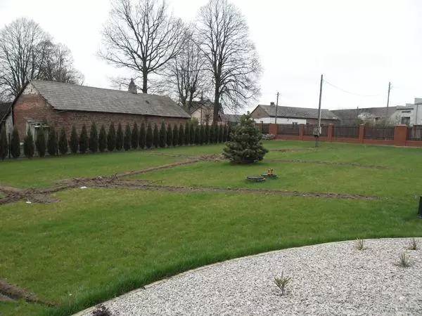 wykopki pod automatyczne systemy nawadniania