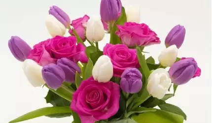 Życzenia z okazji Dnia Kobiet składa Zdzisław Kruszelnicki