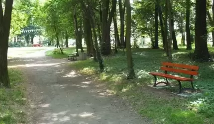 Kto uszkodził lampę w parku w Lutyni?