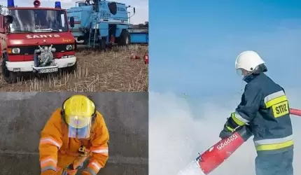 Pożary, gniazda os i szerszeni oraz fałszywy alarm (z raportu strażaków)