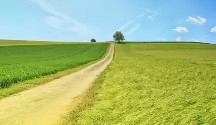 Na terenie gminy Miękinia powstaną nowe drogi do gruntów rolnych