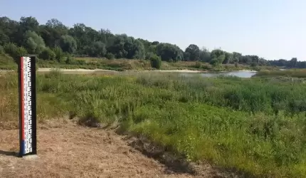 Zatrważająco niski stan wody w Odrze w Malczycach!