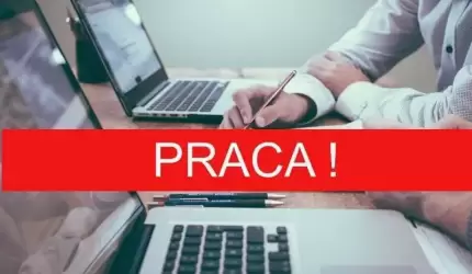 Praca w Wydziale Spraw Komunalnych, Środowiska i Rolnictwa Urzędu Miejskiego