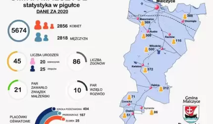 Gmina Malczyce: Statystyka za 2020 rok w pigułce