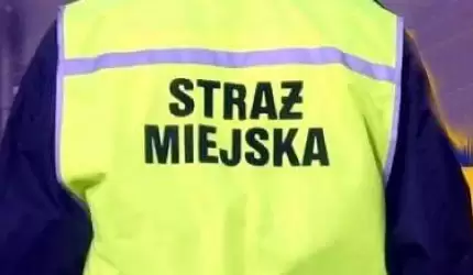 Incydent na Święcie Wina i półnaga kobieta - raport straży miejskiej