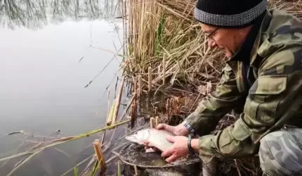 Więcej ryb w naszych stawach i rozlewiskach