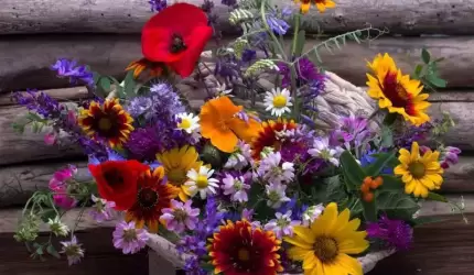 Z okazji Dnia Edukacji Narodowej życzenia składa Zdzisław Kruszelnicki